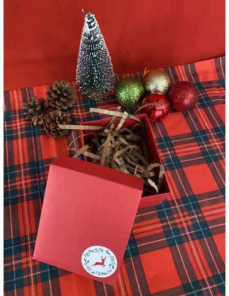 Yılbaşı  Boş Hediye Kutusu 12